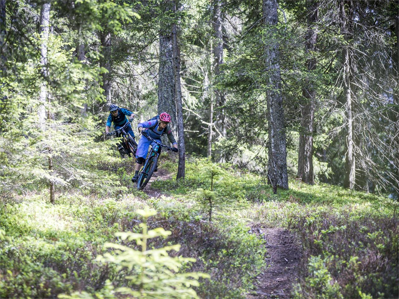 single trail giro tour