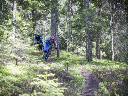 Innichen - Innichen: Bikeschool Alta Pusteria: Giro Single Trail 5 Bahnen 5 Berge