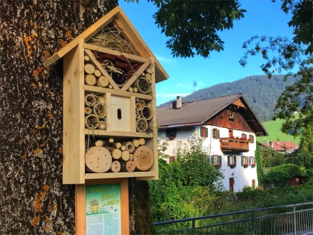 Innichen - Innichen: Wir bauen ein Insektenhotel