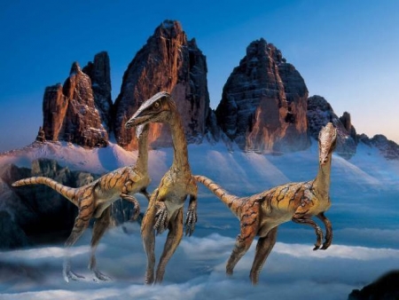 San Candido - San Candido: 1250 San Candido: Mostra speciale | San Candido - vita in movimento