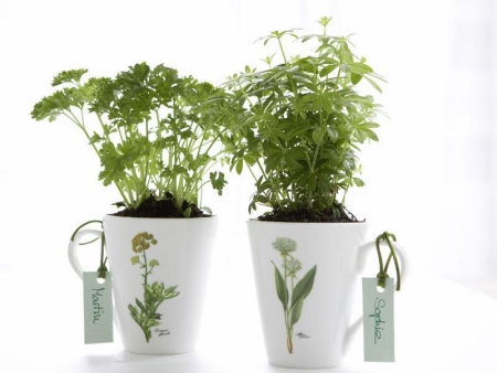 Toblach - Toblach: Konferenz - Die Geheimnisse des Waldes mit A. De Simine in ital. Sprache